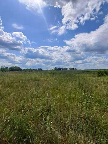 Польова