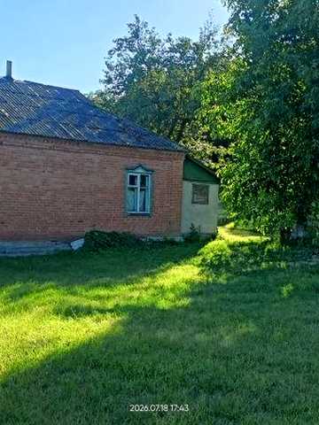 Просторий будинок. Горіховий сад.