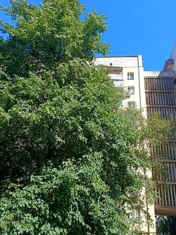 Оренда квартири в Києві недорого!