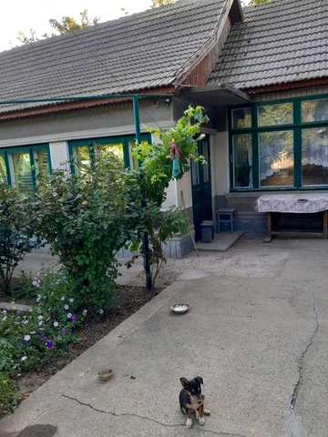 Продажа дома с.Ларжанка