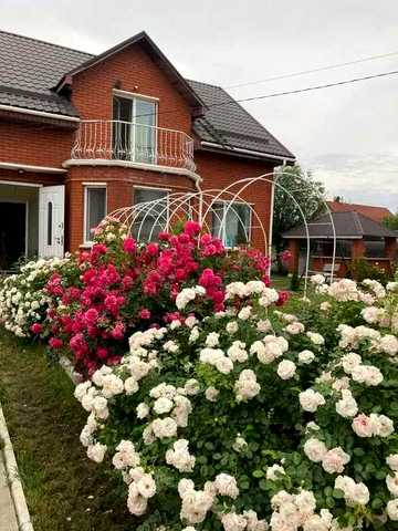 Здам будинок с. Хотянівка в курортній зоні на березі озера « Криве озеро»