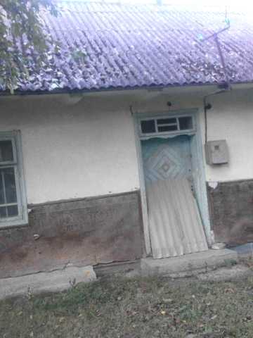 Здається в оренду