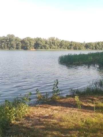 Продам дачу (дiм,будинок) бiля води за Власiвкою,за "Королiвським смаком",дорога Кременчук -Свiтловодськ