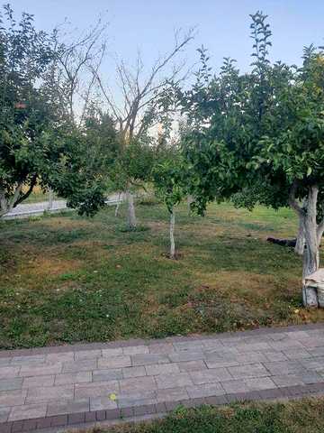 житловий будинок, ділянка, сад