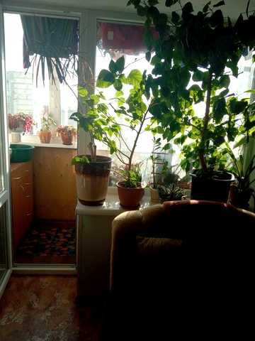 Квартира,продам квартиру,квартира 3-х комнатная