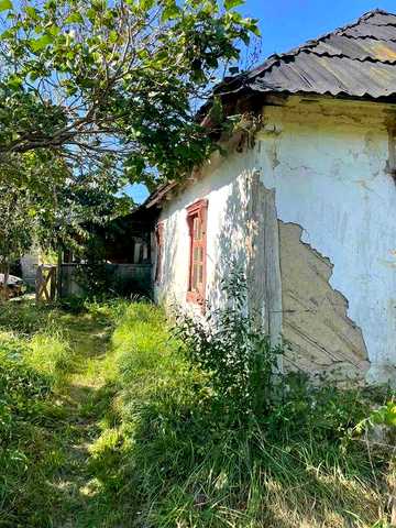 Продам или дам в пользование дом в Киевской обл.