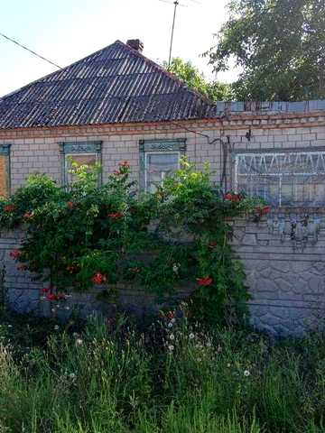 Продам будинок у с. Орлівщина — поруч ліс та річка!