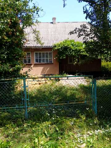 None 20000 USD