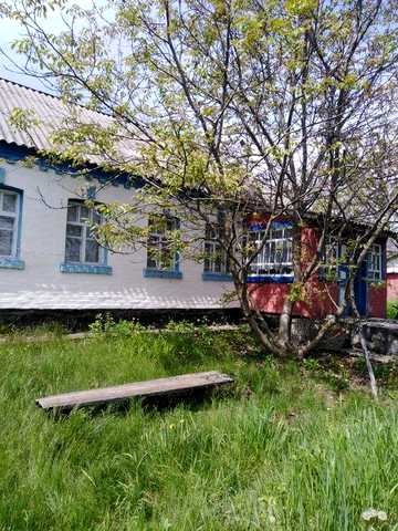 Продаються будинок в с. Северинівка Таращанського району
