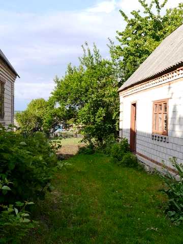 Продам дом в Крыжополе