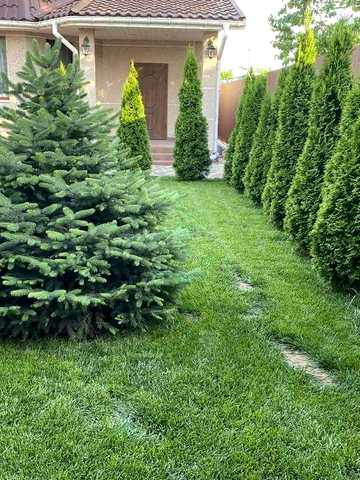 Сдам дом Фонтанка -1, ремонт, 3 спальни!-600$