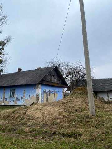 Будинок/Дача у селі Повча/ Земельна ділянка