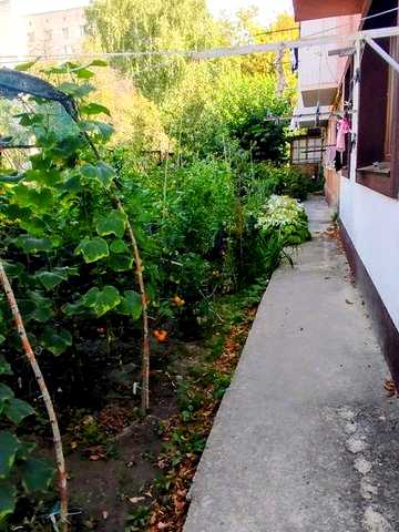 Продаж 3х кімнатної квартири