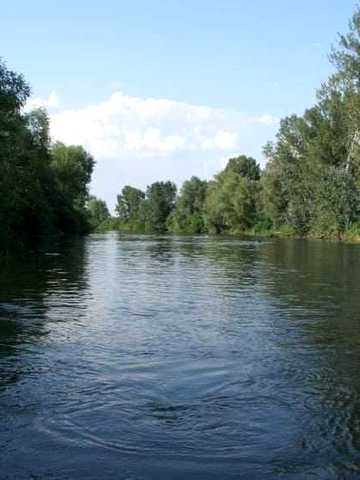 Сдам дом/дача на реке Орель Днепр обл
