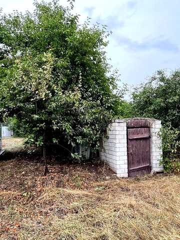 Будинок у с. Вергуни з ділянкою