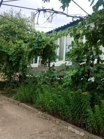Продається будинок с.Прибужани