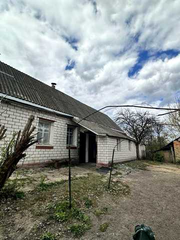 Продаж будинку 89 м² з ділянкою 25 соток, гаражем та садом | с. Хажин, 5 хв від Бердичева