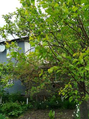 Продаж 1к Квартира Українських Повстанців вулиця