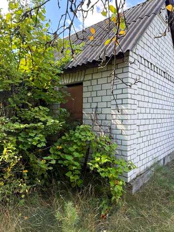 Здам дачу в с. Пришивальня — тихе місце біля лісу, довгострокова оренда
