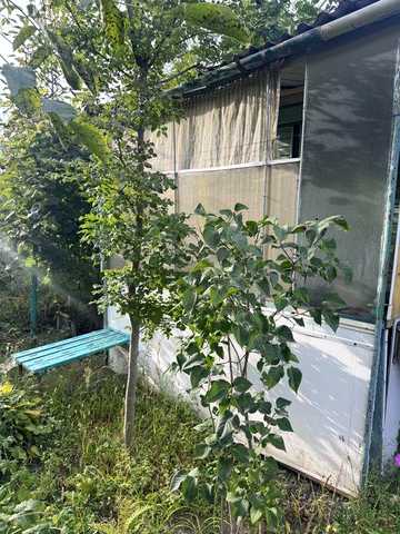 Продам дачу садовий кооператив *Азбест *  с Черкас