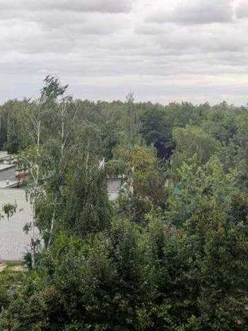 Здаю 1-кiмнатну квартиру Чернiгiв