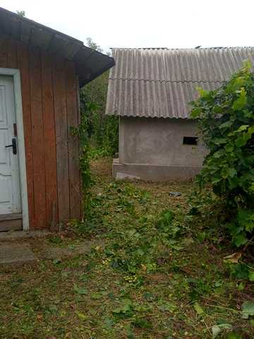 Продається будиночок біля лісу