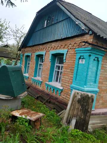 None 8000 USD