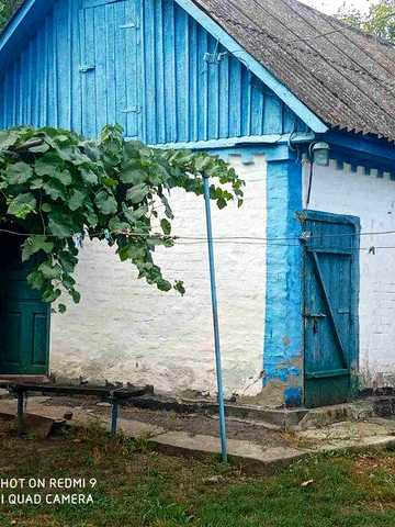 Будинок в с. Павлівка Перша