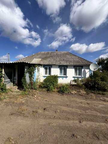 Будинок у Гребінках на 60 сотках — чудове місце для життя