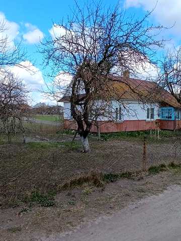 Продам нерухомості с. Степань