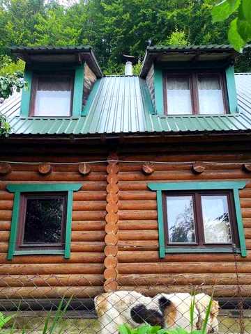 продаж будинку, Закарпатська, Липецька Поляна, вул. Яблунева
