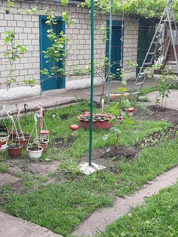 Продам дом від власника. 55 кв.м .дві кімнати,  гостьова ,вана суміжна.