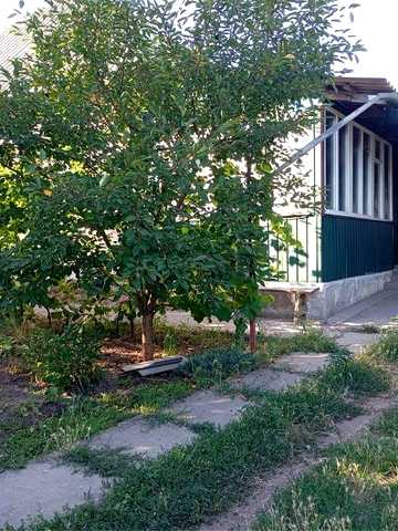 Продається будинок у селі ЛИСА ГОРА, Миколаївська область