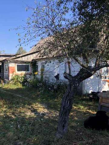 Продам будинок на 37 сотках землі.