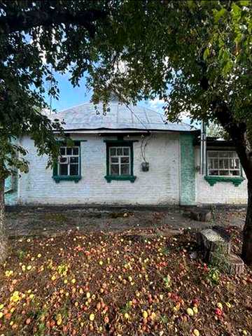 Продається будинок в смт Гребінки (Київська область)
