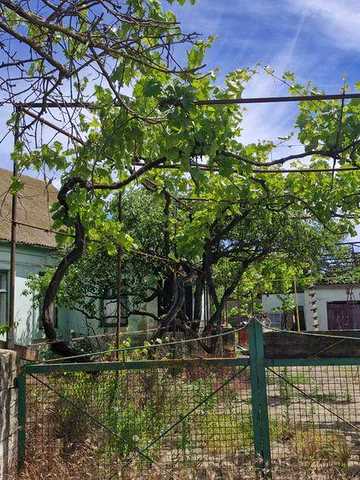 Продам будинок в селі Сичавка.