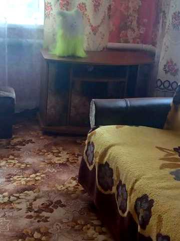 Здам дом в селе.