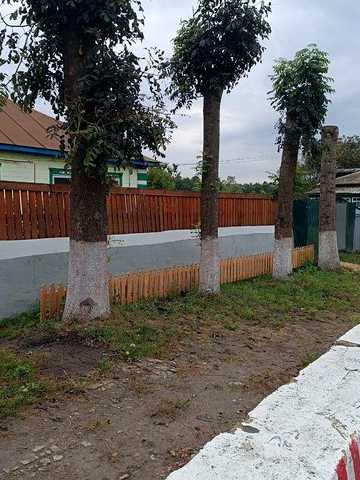 Продам будинок в центрі Понорниці