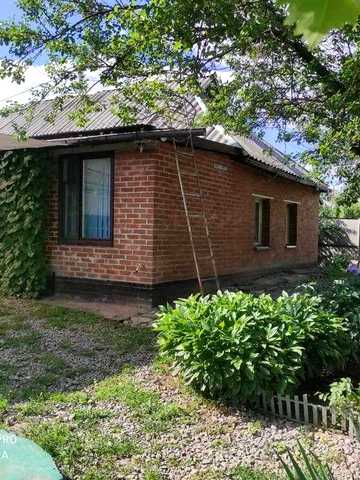 Продам будинок у самому центрі Супрунівки  67 м² , 15 соток. Держпрограми так! Код об'єкта:23173