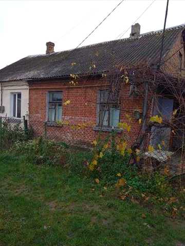 здам в.   оренду хату.