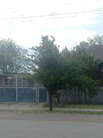 None 25000 USD