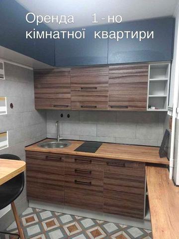 Оренда 1-но кімнатної квартири, вулиця Петра Панча, р-н Чорновола