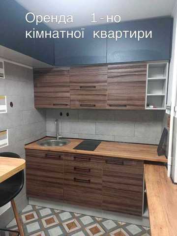 Оренда 1-но кімнатної квартири, вулиця Петра Панча, р-н Чорновола