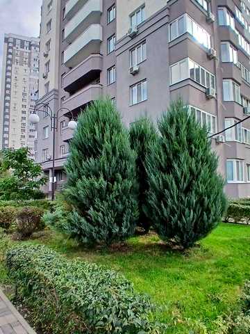 ЖК Лісовий квартал продам класну видову 1 к квартиру 42,5 м2 ремонт 90% ЖК Лісовий квартал