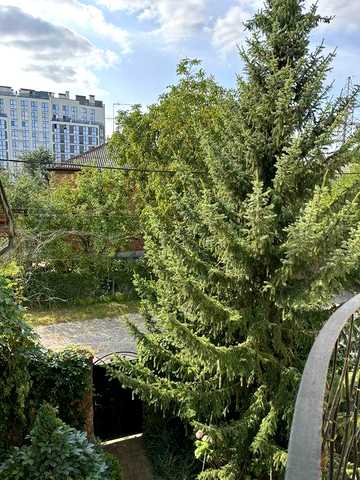 Продаж окремостоячого будинку з ділянкою кн.Ольги
