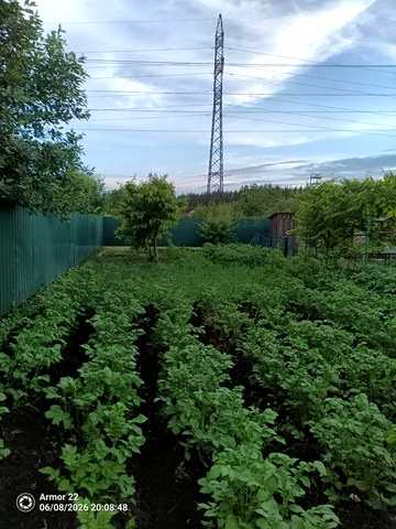 Продам дачу Знаходиться в садовом товаристві  ЛАНДИШ