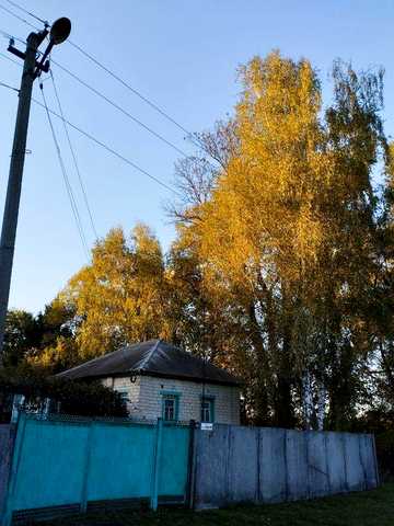 продам будинок в місті Батурин
