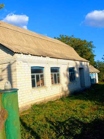 Будинок - розташований в с. Острів, Білоцерківського р-н., Київської обл..