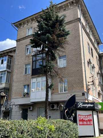 Квартира исторический центр 4 комнаты