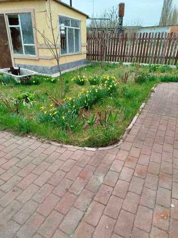 Продаже будинку в Очакові